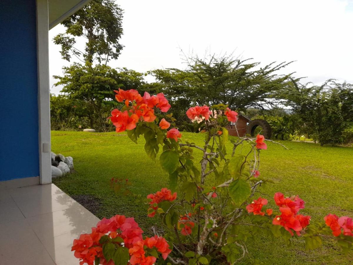 Casa De Campo Heliconia La Fortuna Екстер'єр фото